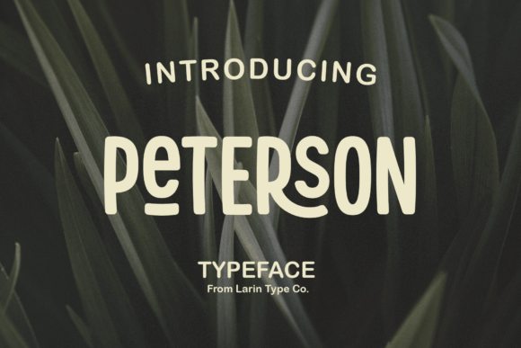 Peterson: A Creative Font for Modern and Vintage Design