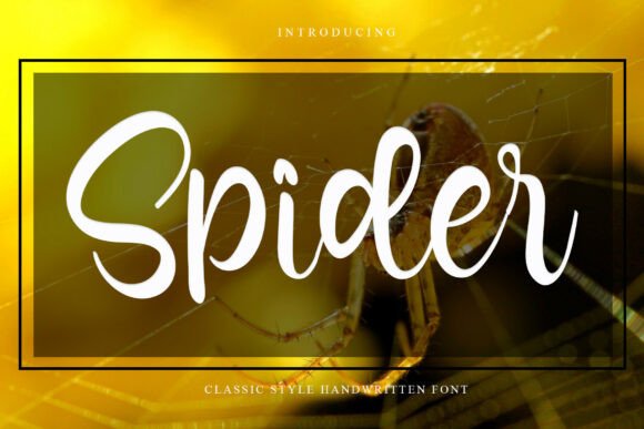 Spider Font: Elevate Your Brand with This Elegant Typeface
